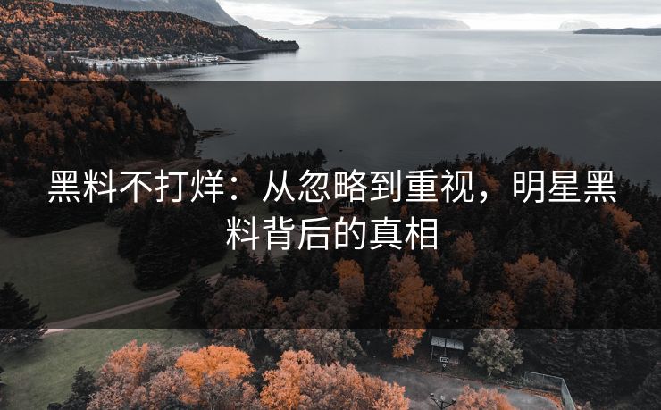 黑料不打烊:从忽略到重视,明星黑料背后的真相 黑料不打烊:从忽略到重视,明星黑料背后的真相